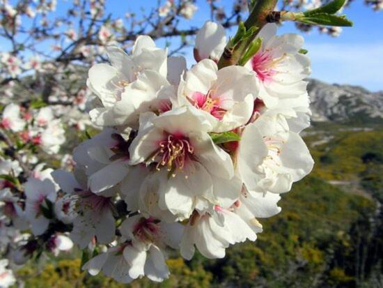 Villa La Cigale, Maussane Les Alpilles Kültér fotó
