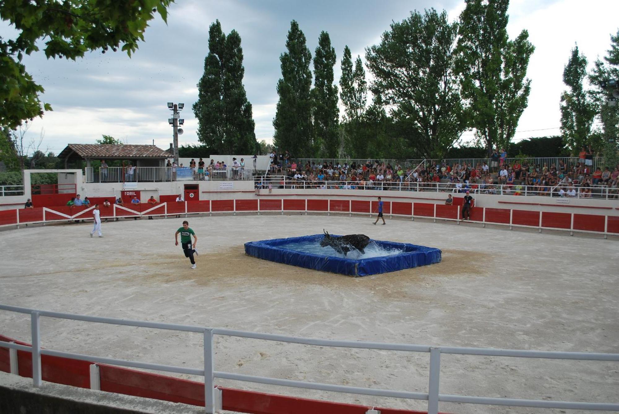 Villa La Cigale, Maussane Les Alpilles Kültér fotó
